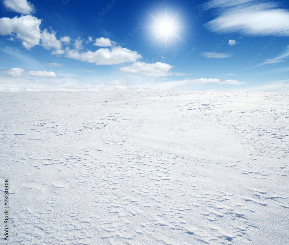 天空和阳光下白雪皑皑的田野。