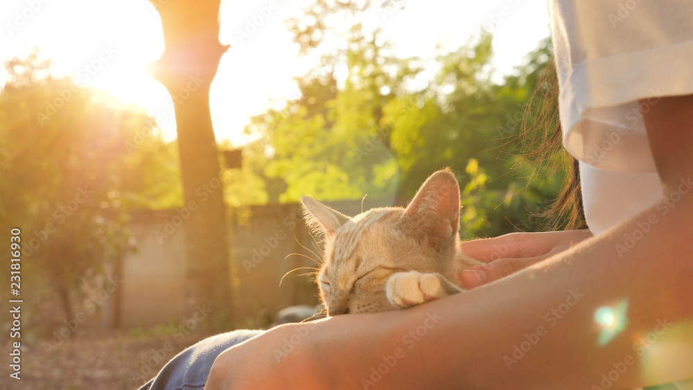 阳光明媚的日子里，可爱的亚洲女孩与熟睡的可爱虎斑猫玩耍