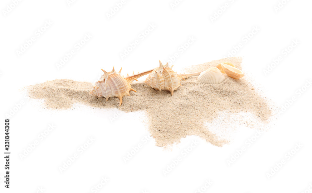 Seashells and sand on white background