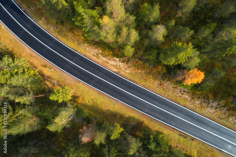 Aerial view of the road in italian forest at sunrise in Dolomites. Top view of perfect asphalt roadw