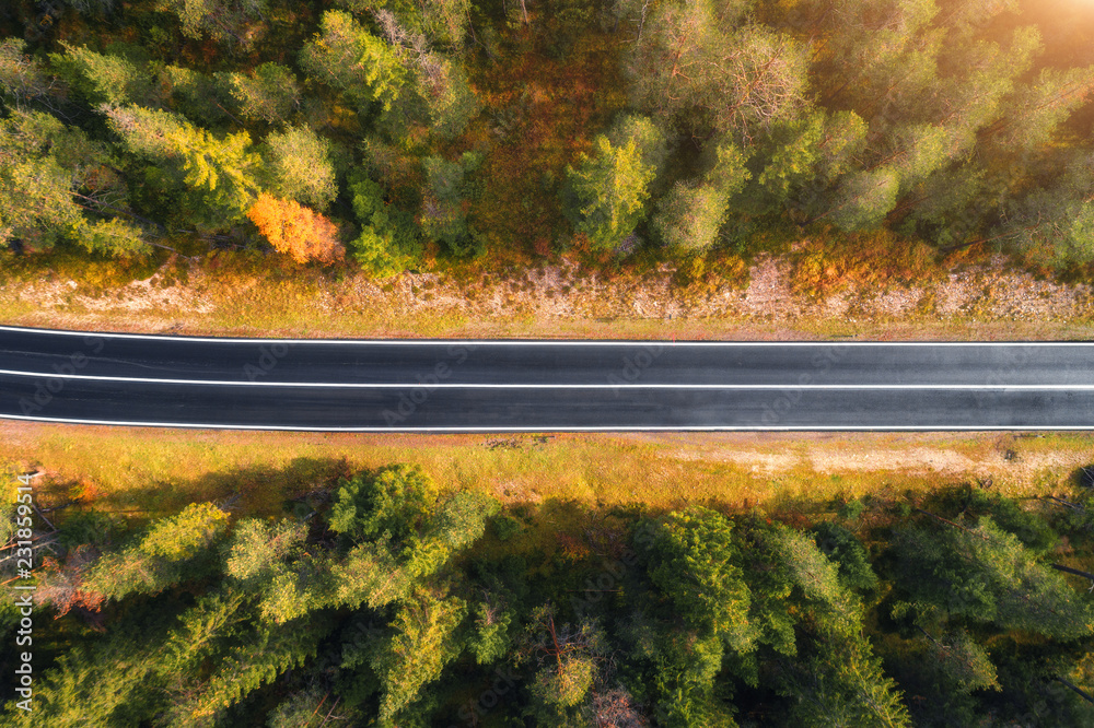 Aerial view of the road in italian forest at sunrise in Dolomites. Top view of perfect asphalt roadw