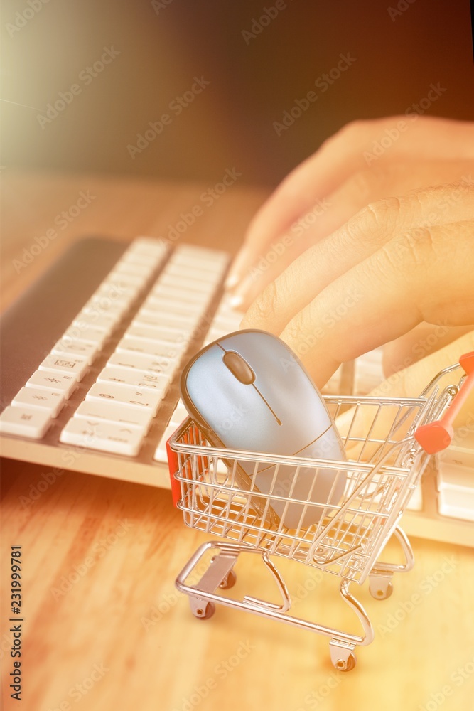 Shopping Cart with computer mouse and laptop on light background