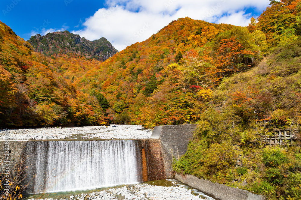 西沢渓谷の鮮やかな紅葉と滝