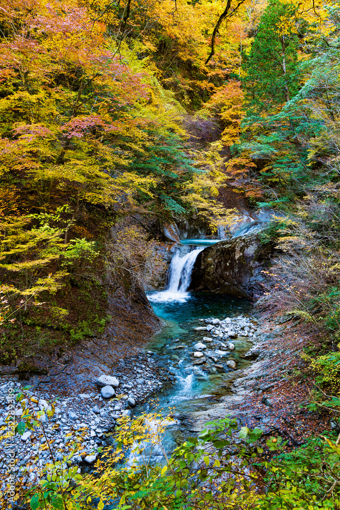 西沢渓谷の鮮やかな紅葉と滝