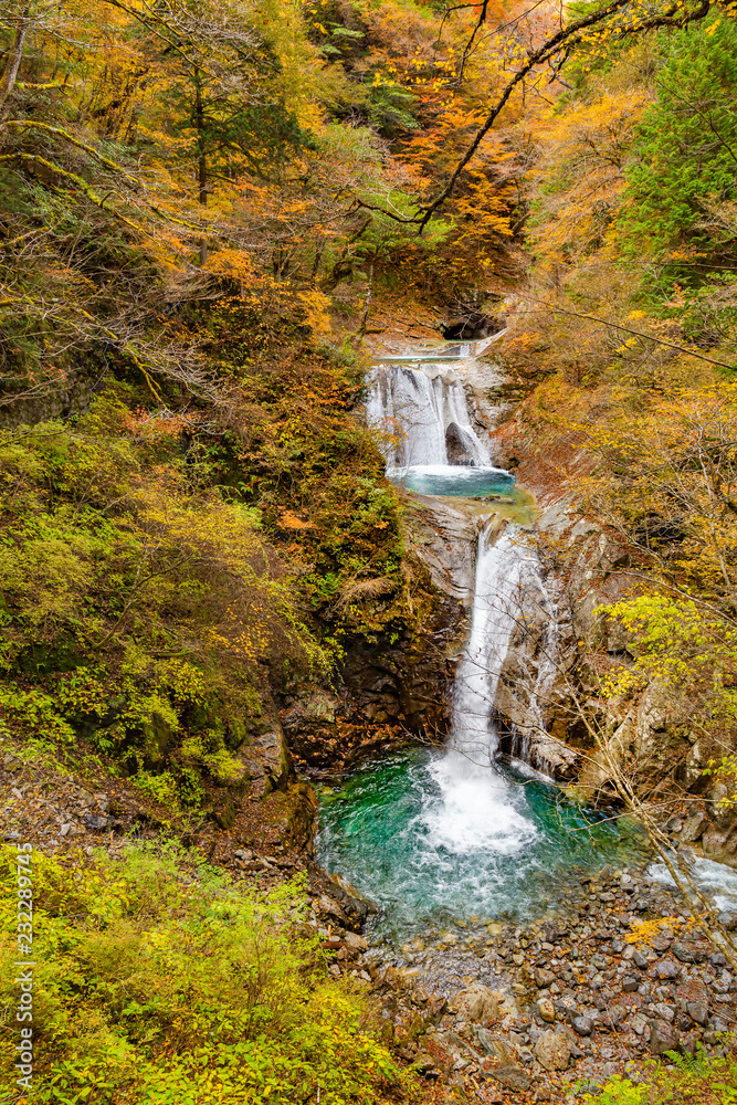 西沢渓谷の鮮やかな紅葉と滝