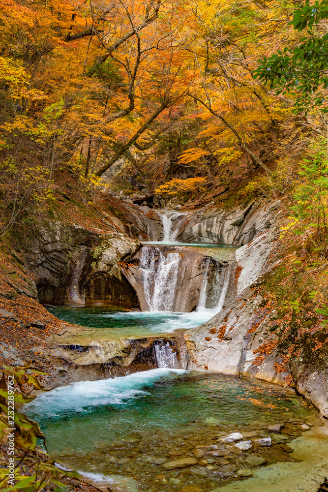 西沢渓谷の鮮やかな紅葉と滝