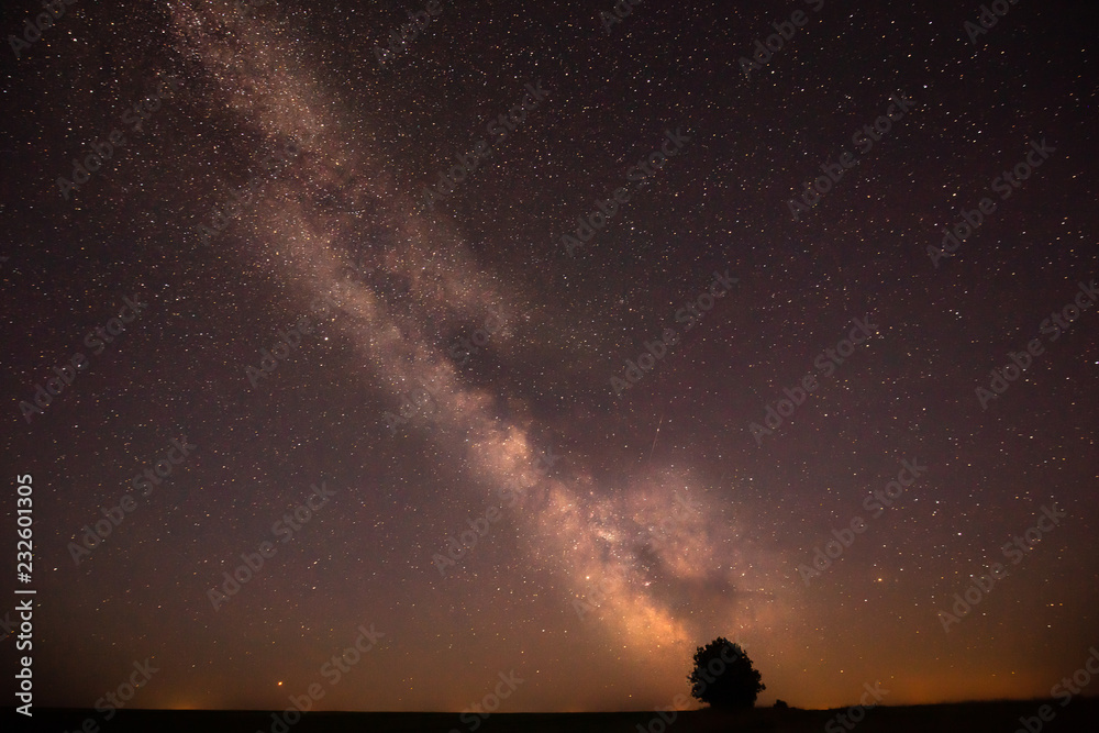 Night Starry Sky And Lonely Tree In Meadow. Glowing Stars And Wo