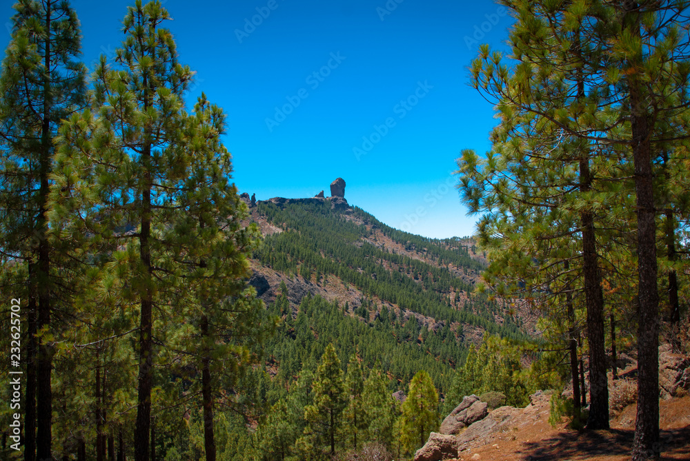 大加那利岛和森林上的Roque Nublo