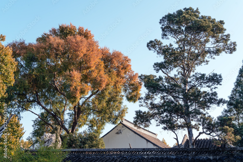 秋季花园，传统建筑