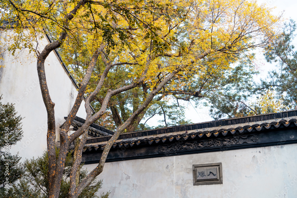 autumn garden, traditional architecture