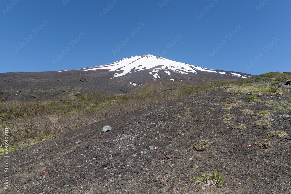 Top of Mt.Fuji with snow and Mt.Fuji natural recreation forest trail in spring