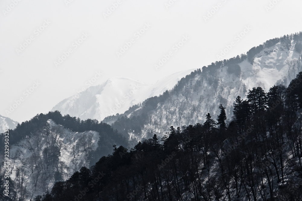 日本雪山森林美景，大山全景