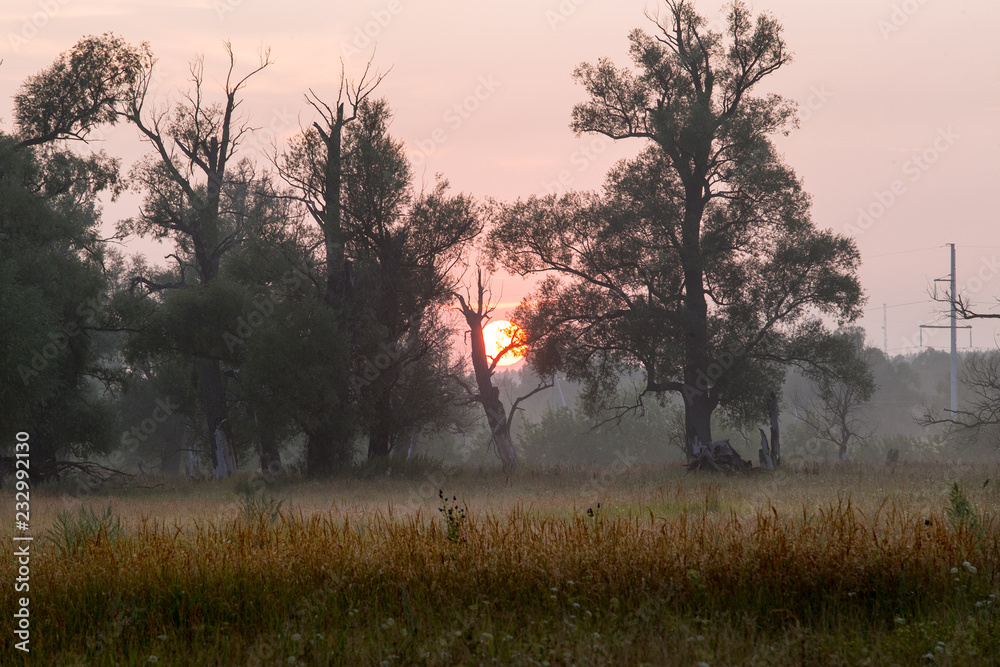 misty dawn