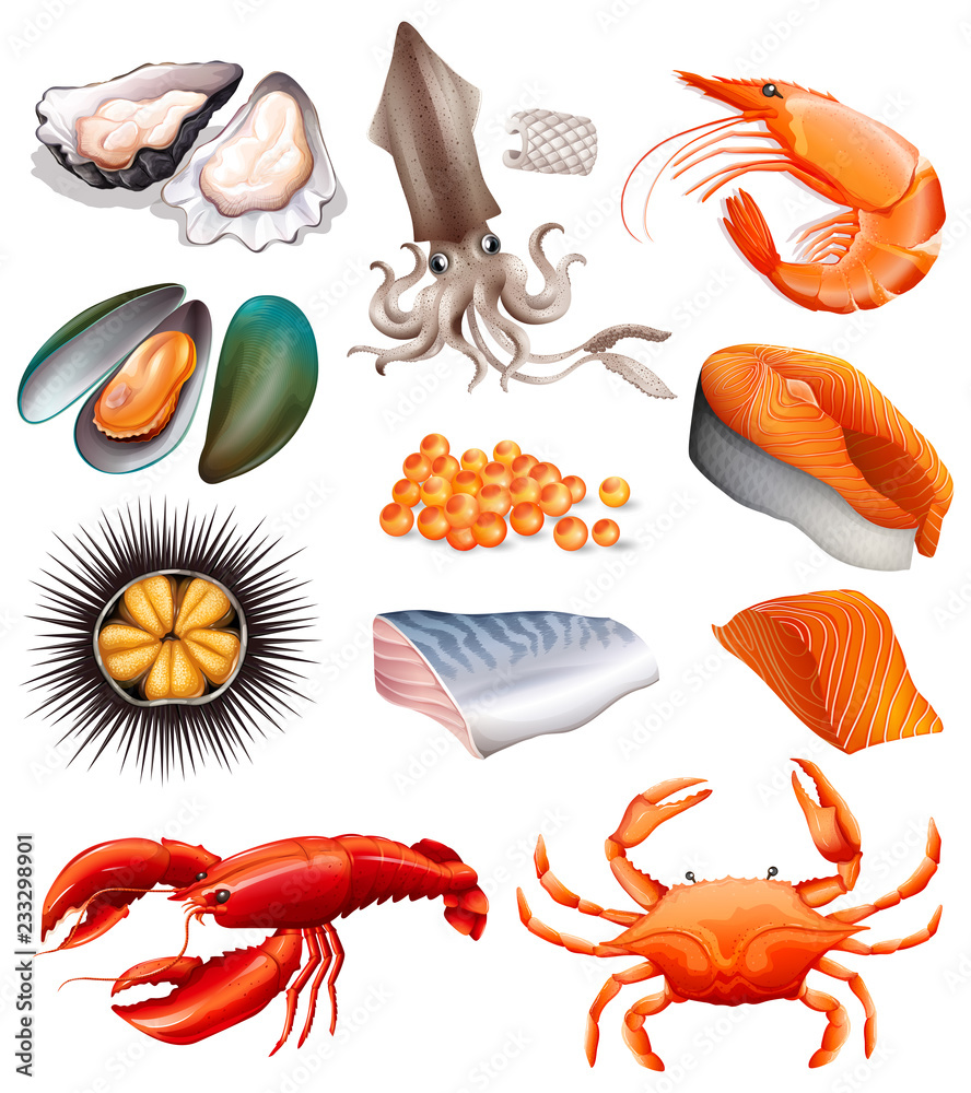 Set of seafood on white background