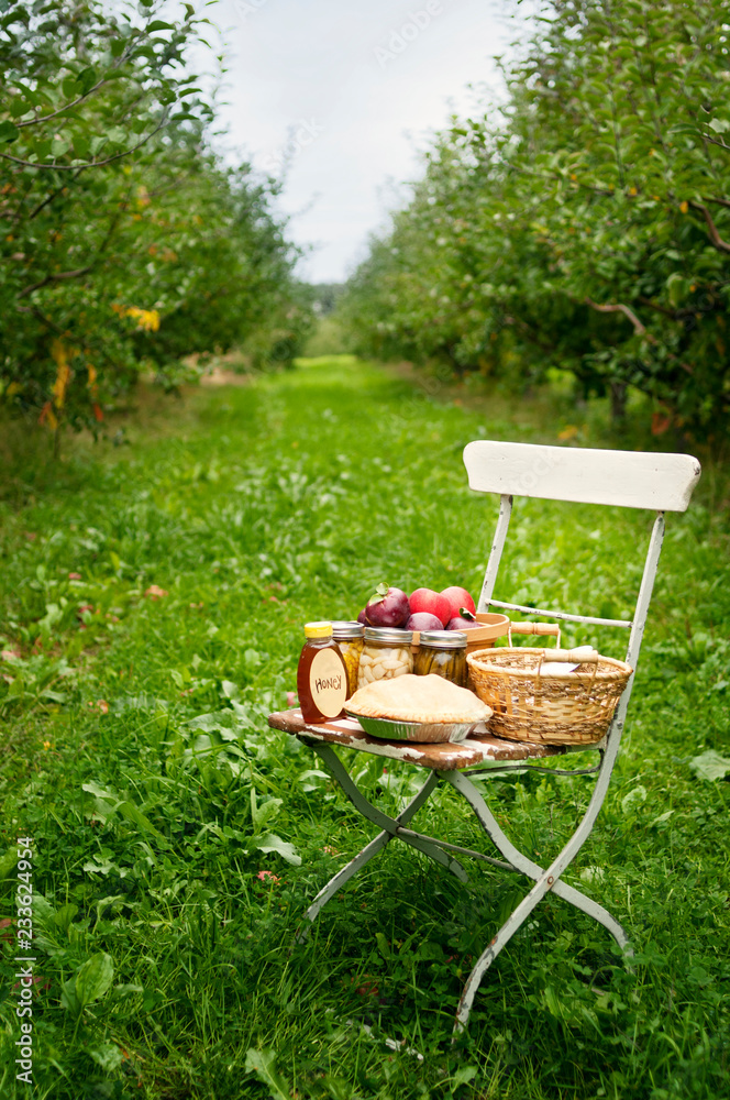 Food in containers on chair at orchard