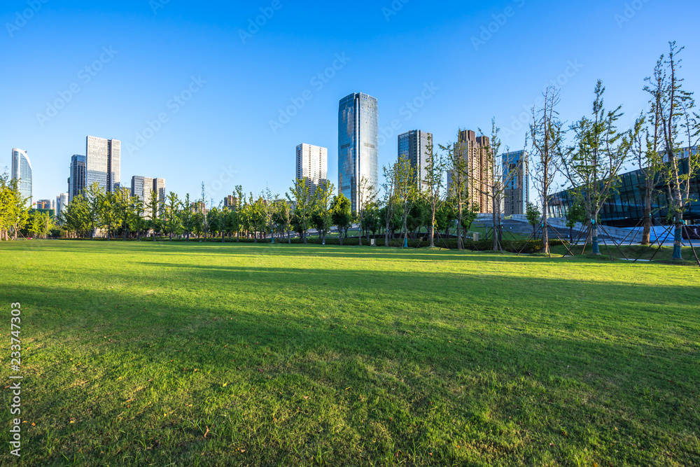 城市天际线的绿色草坪