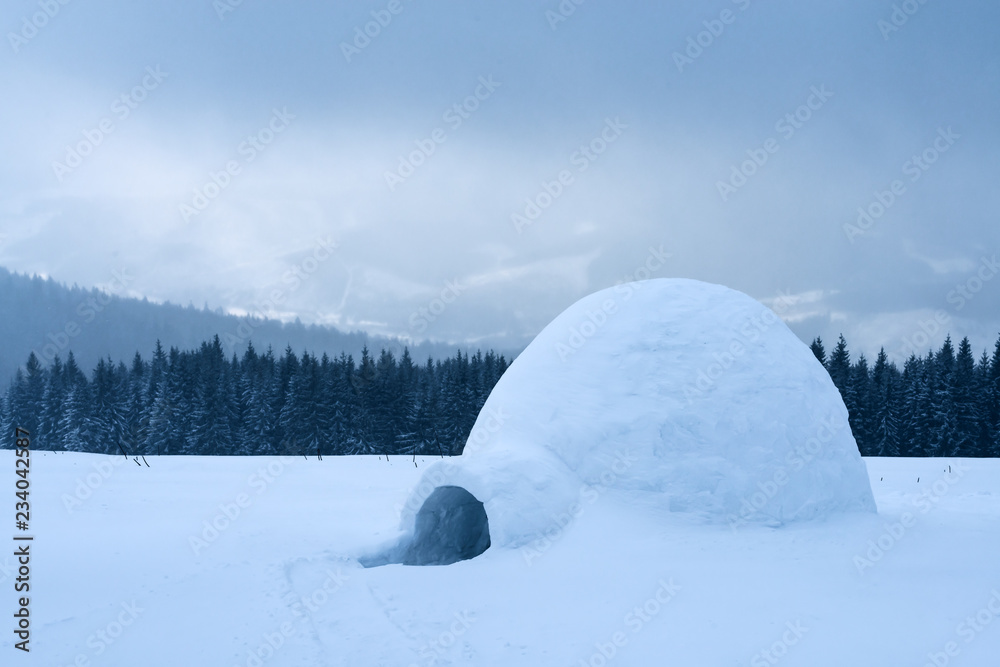 喀尔巴阡山脉冬季的真正雪屋。背景是白雪覆盖的冷杉