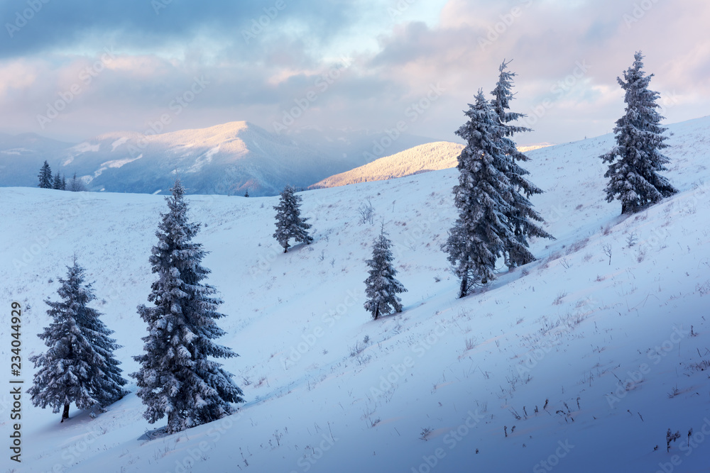 Fantastic orange winter landscape in snowy mountains glowing by sunlight. Dramatic wintry scene with