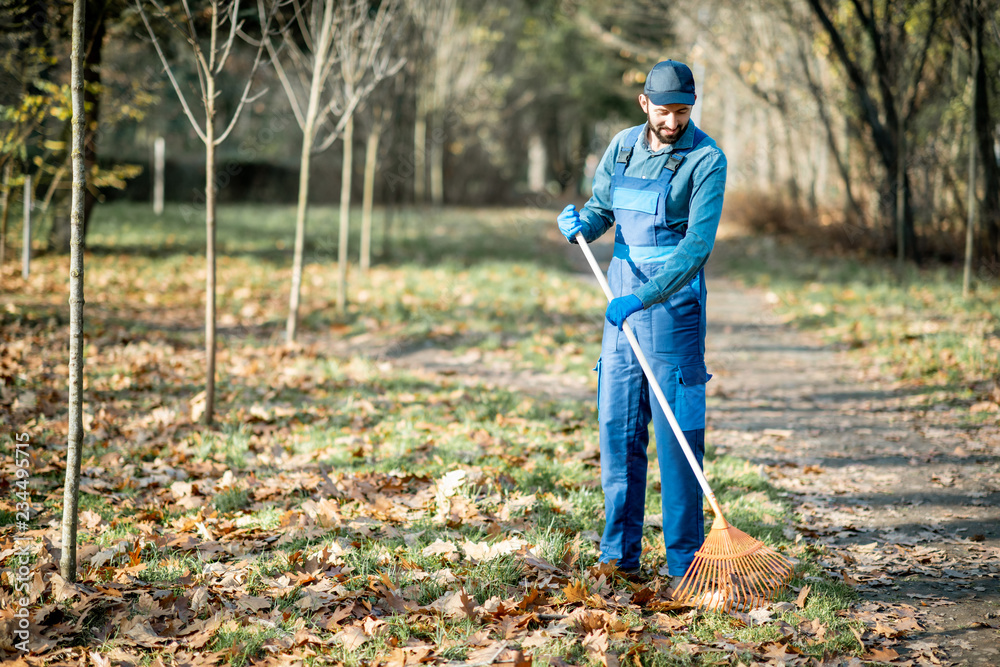 Professional male sweeper in blue uniform raking leaves in the garden during the autumn time