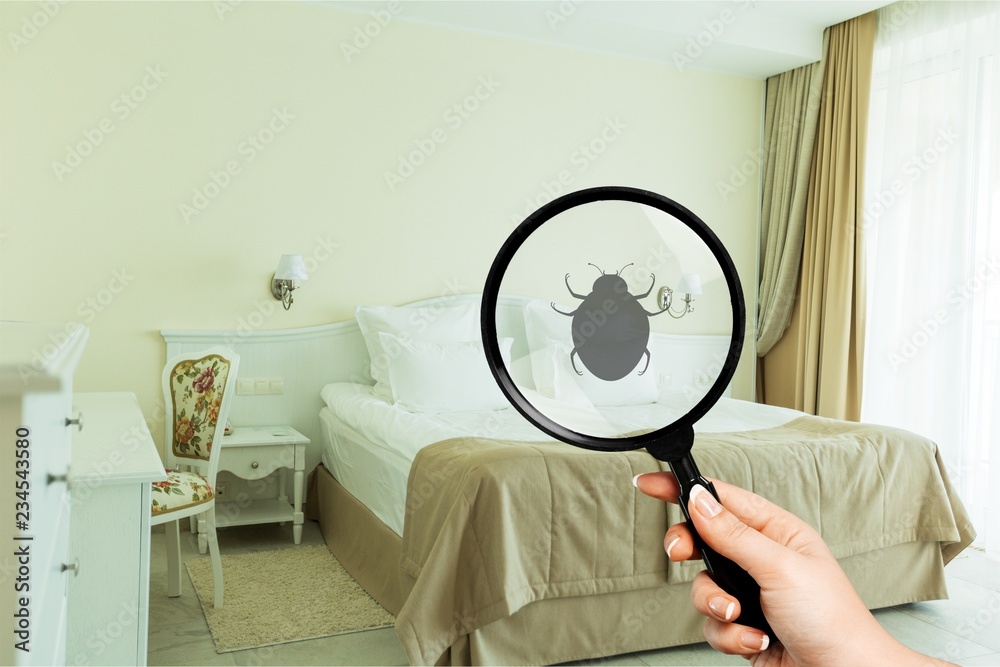 Pest bed bug background bedbug control bedding