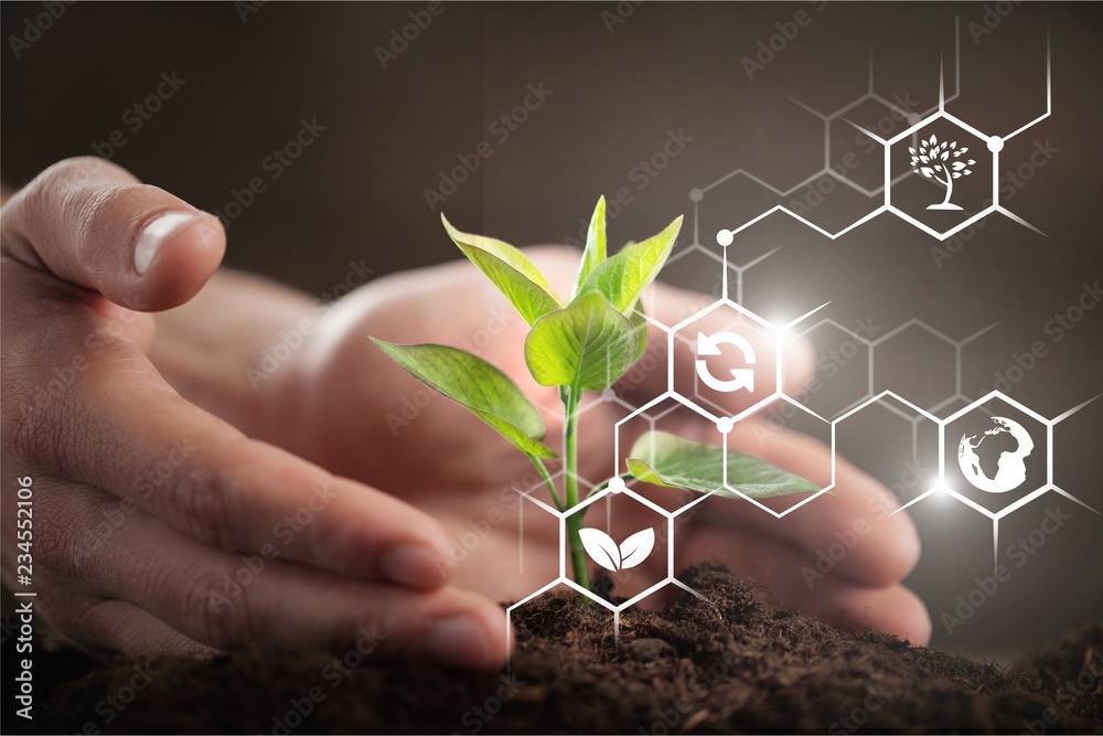 Green Growing Plant and Human Hands