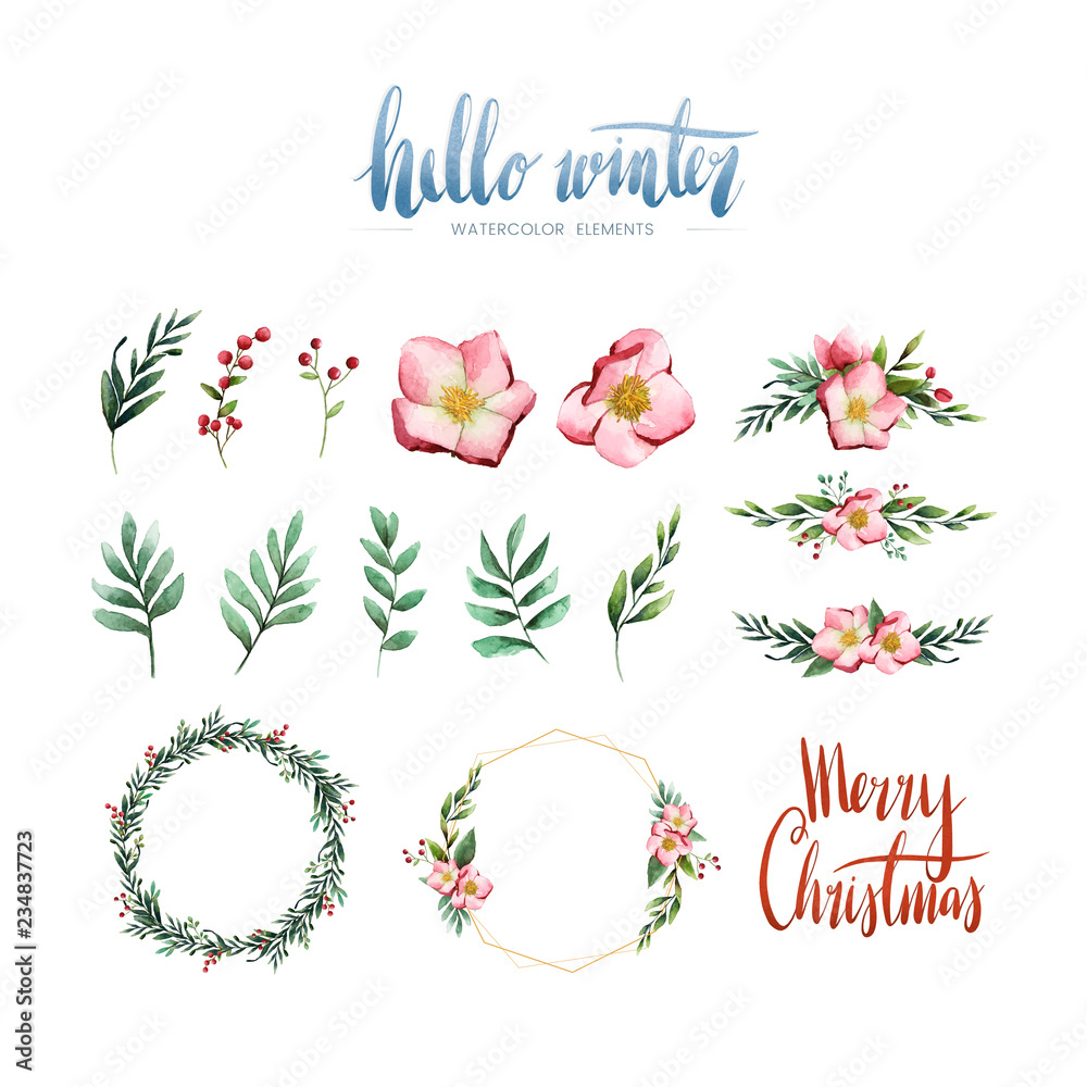 Watercolor winter bloom and elements vector