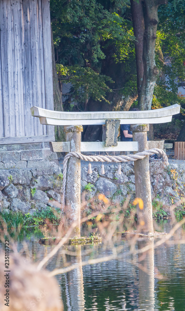 美丽的红色枫叶和日本torii，在秋天的阳光明媚的日子里，在日本大田的金林湖，bl