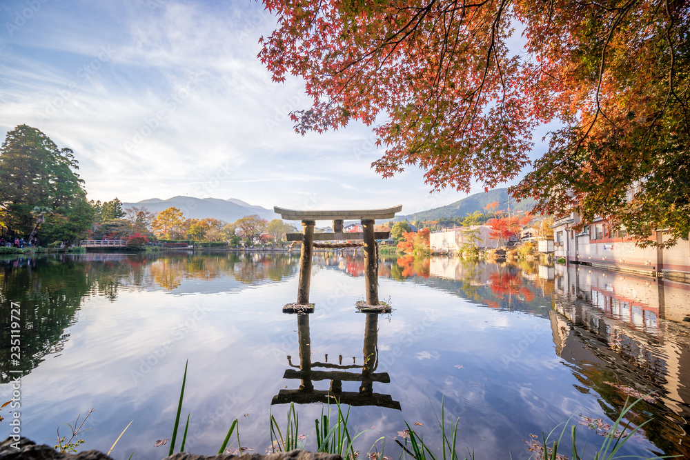 美丽的红色枫叶和日本torii，在秋天的阳光明媚的日子里，在日本大田的金林湖，bl