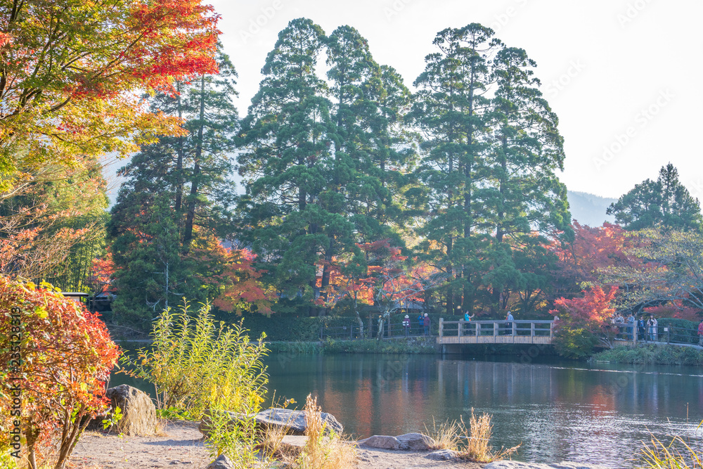 Yufuin Kinrinko，日本，2018年11月7日：日本Yufuin Kinrinko湖美丽的红色枫叶