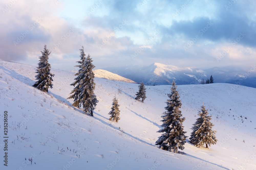 阳光照耀下的雪山中令人惊叹的橙色冬季景观。戏剧性的冬季场景
1735790403,家庭早晨。两个有爱心的人在家准备早餐。专注于咖啡机里的杯子