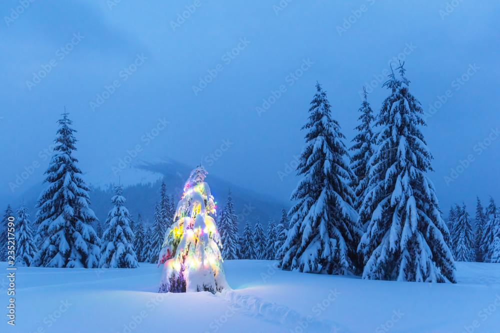 冬季山区的圣诞树、雪和灯光的假日景观。新年庆祝活动