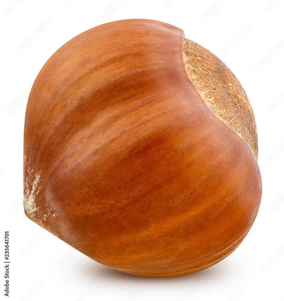 Hazelnut isolated Clipping Path