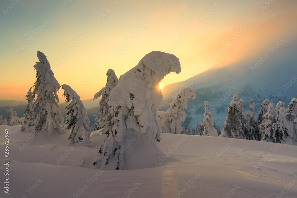 阳光照耀下的雪山中令人惊叹的橙色冬季景观。戏剧性的冬季场景
1735886013,盘子里有松饼，馅料，肉桂，方糖，茶匙，茶