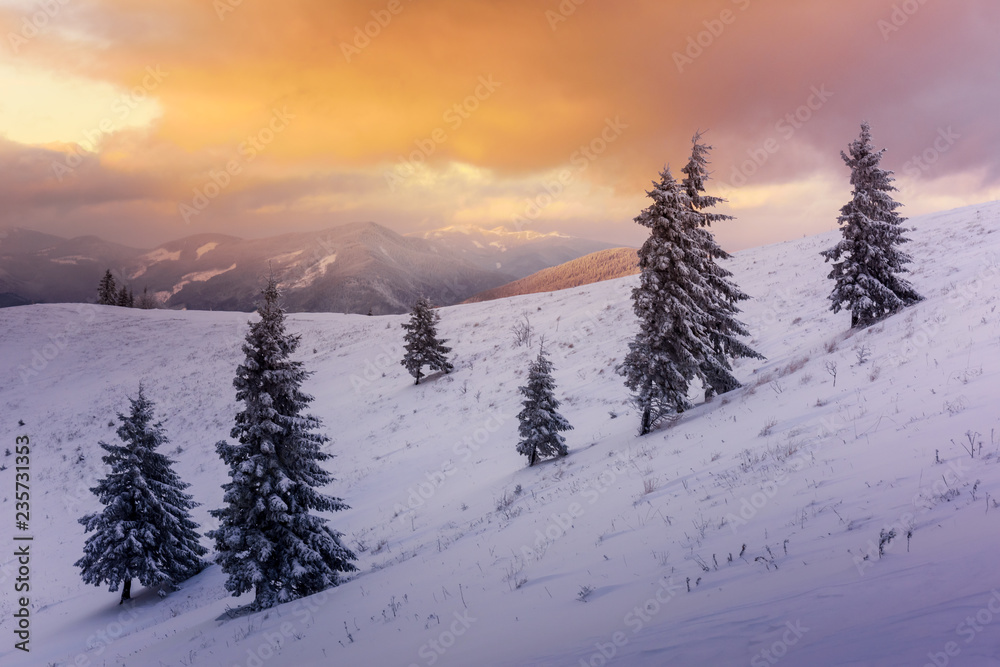 阳光照耀下的雪山中令人惊叹的橙色冬季景观。戏剧性的冬季场景