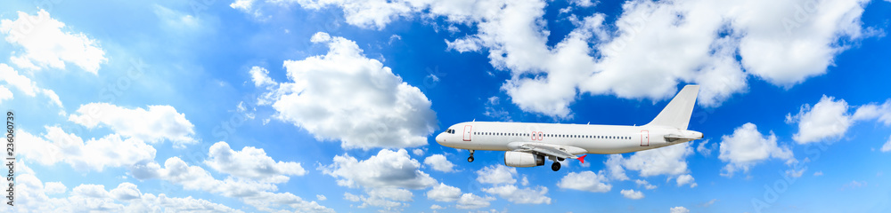 Airplane flying in the blue sky,panoramic view