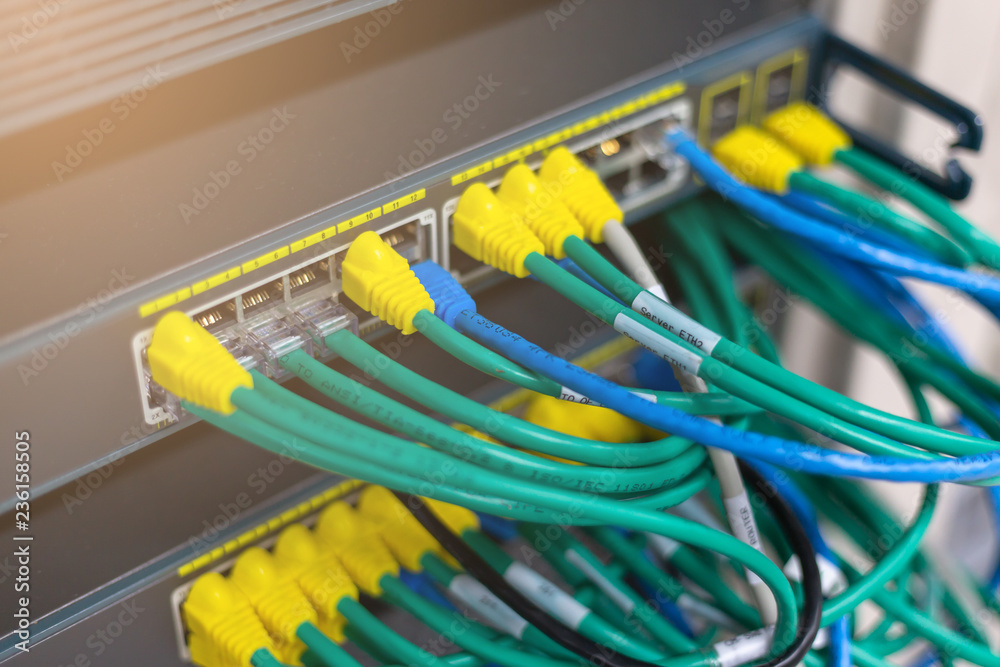 network cables connected in network switches hub