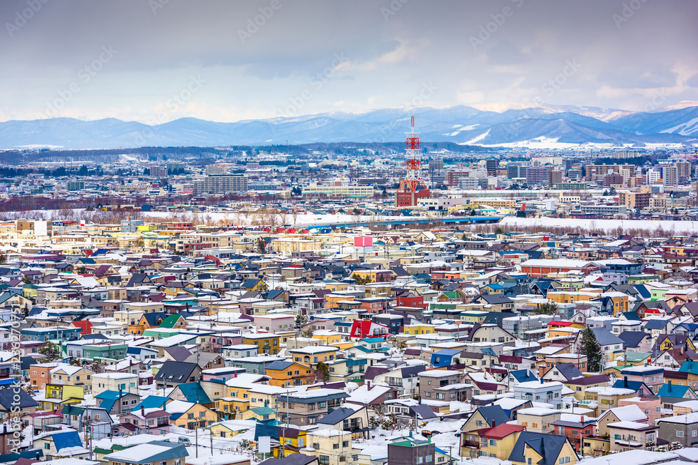 日本北海道旭川冬季天际线