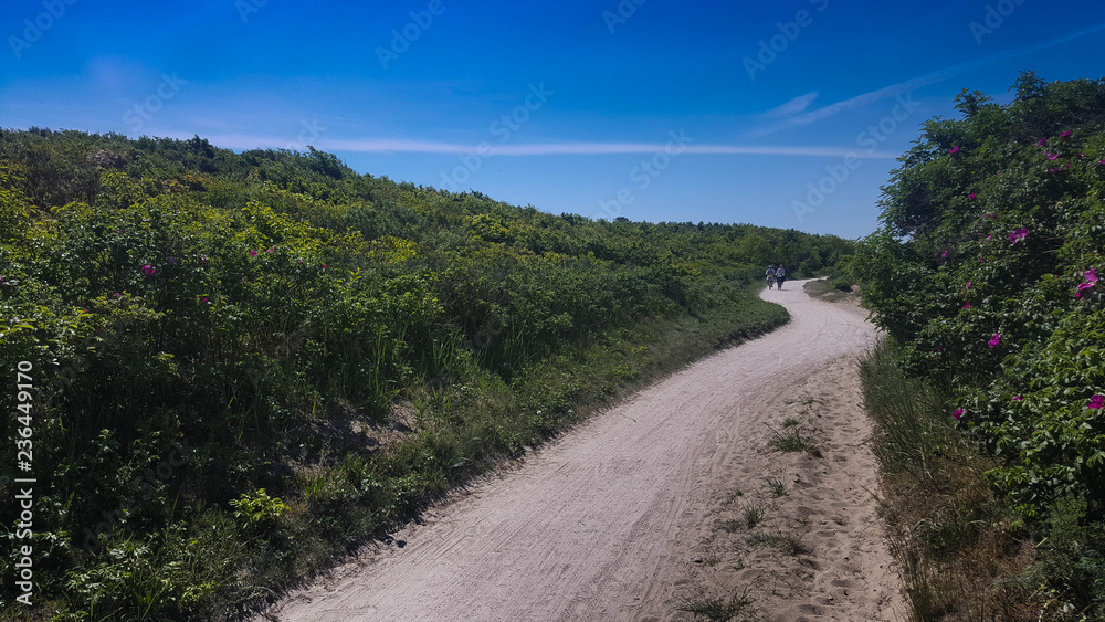 Darß am Strand