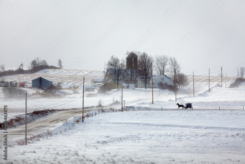 Amish buggy travels a country road in upstate New York on a cold day in January.