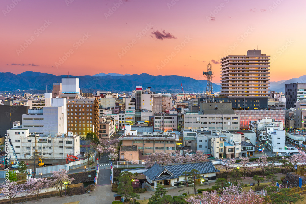 Kofu City, Japan Downtown Skyline at Dusk