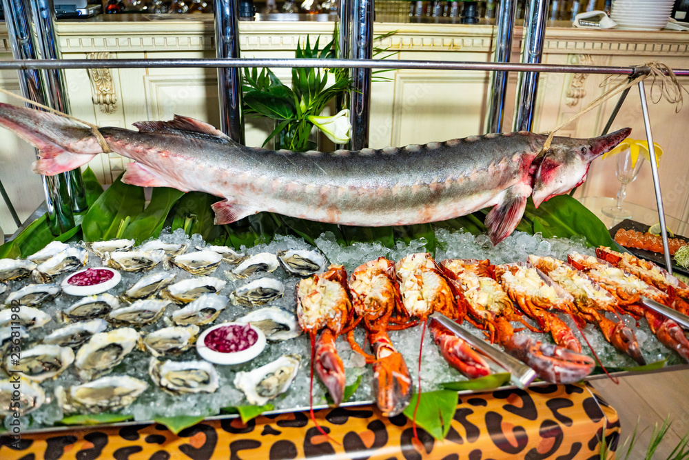 Nicely decorated banquet with an ocean fish, big lobsters and oysters in ice on the table. Seafood i