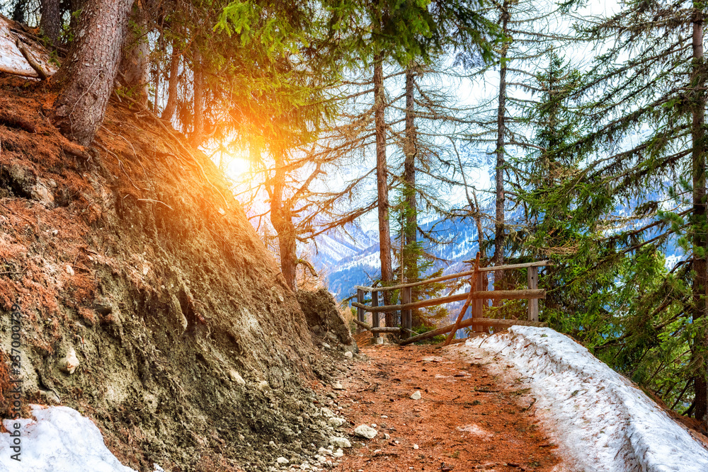 瑞士阿尔卑斯山山路景观。冬季自然