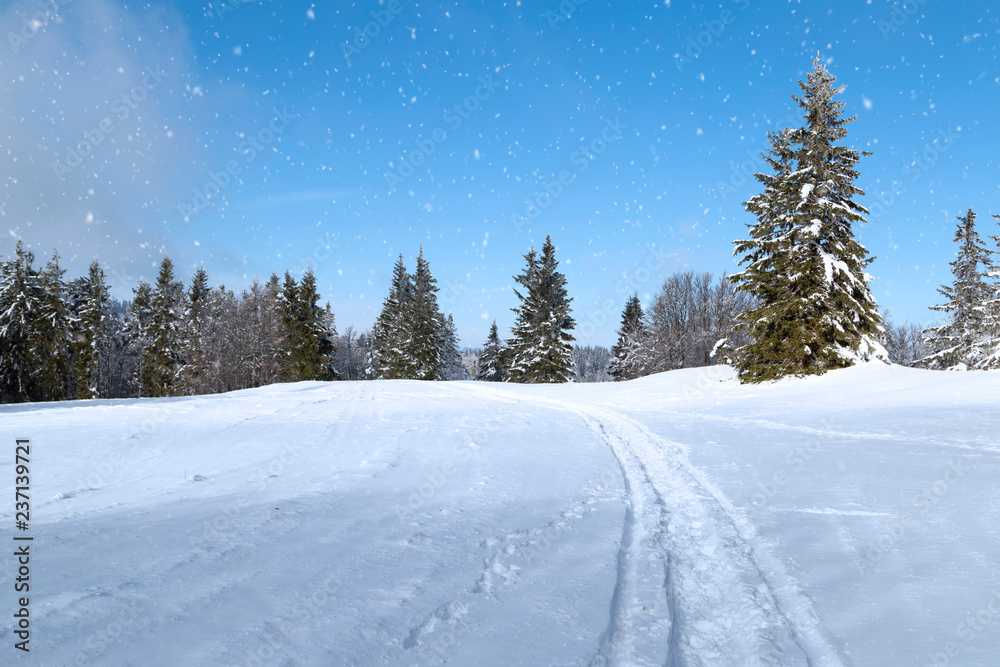 降雪期间的山顶景观。冬季景象。