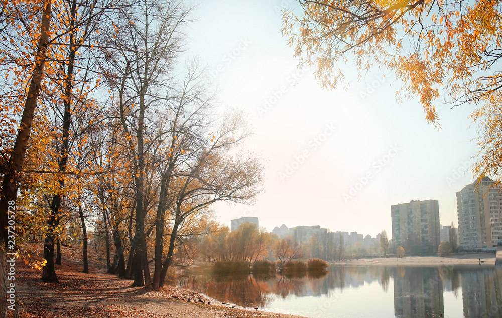 View of beautiful autumn park with pond in city