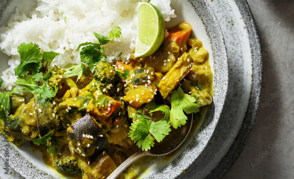 Plated vegetable curry with rice