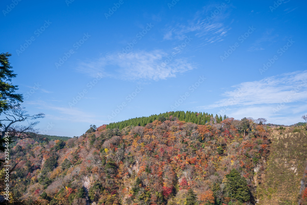 Kokonoe Yume悬索桥（大隅桥）周围的古居山（古居仁赞），最高的su