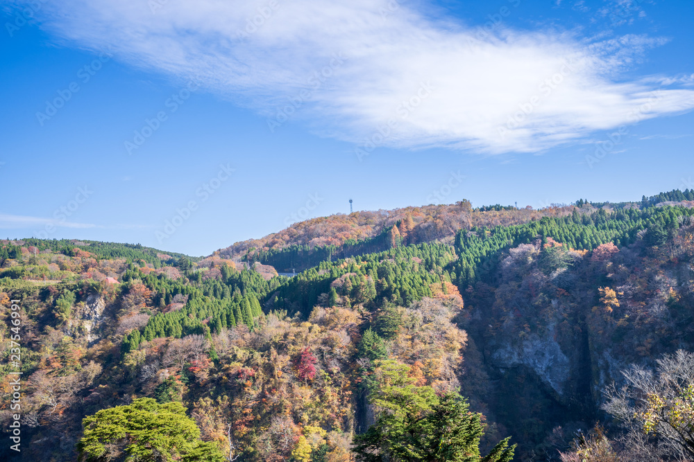 Kokonoe Yume悬索桥（大隅桥）周围的古居山（古居仁赞），最高的su