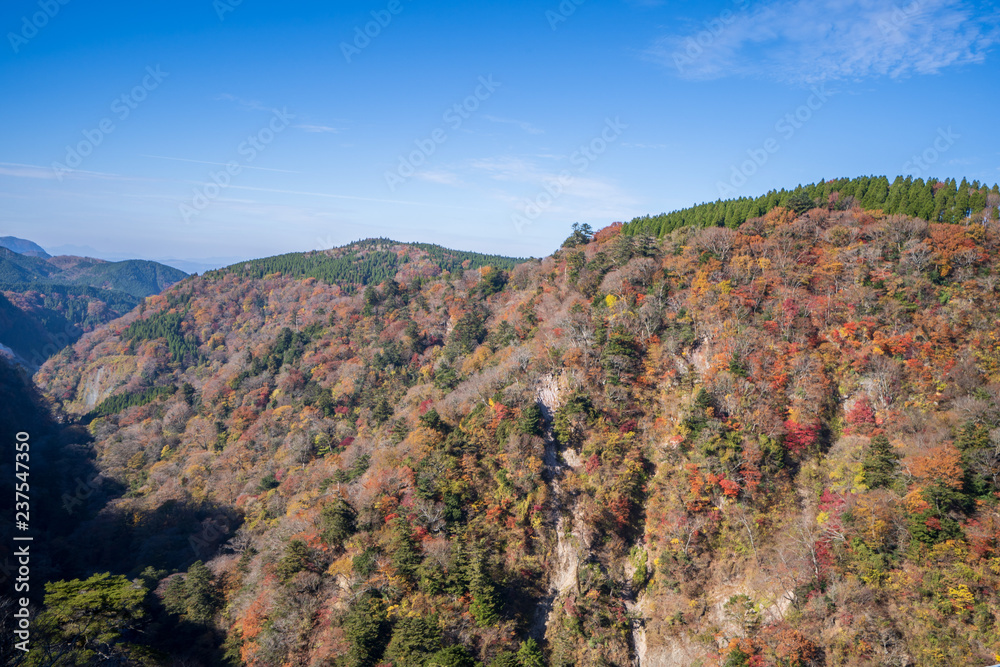 Kokonoe Yume悬索桥（大隅桥）周围的古居山（古居仁赞），最高的su