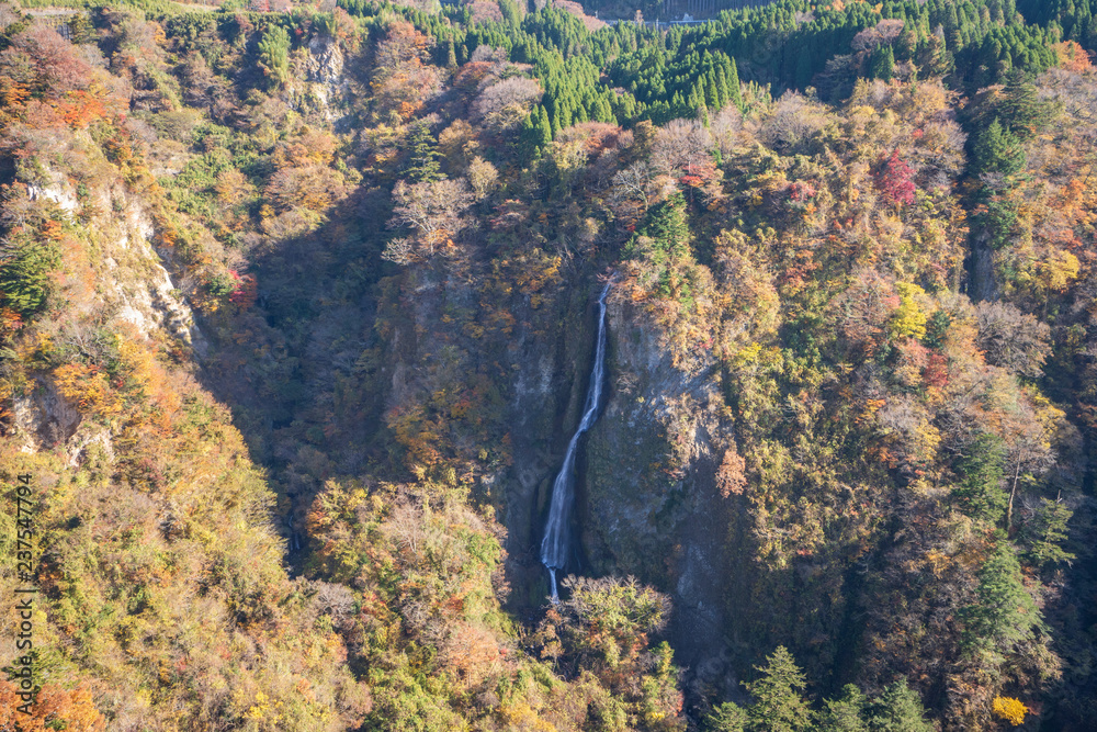 Kokonoe Yume悬索桥（大隅桥）周围的古居山（古居仁赞），最高的su