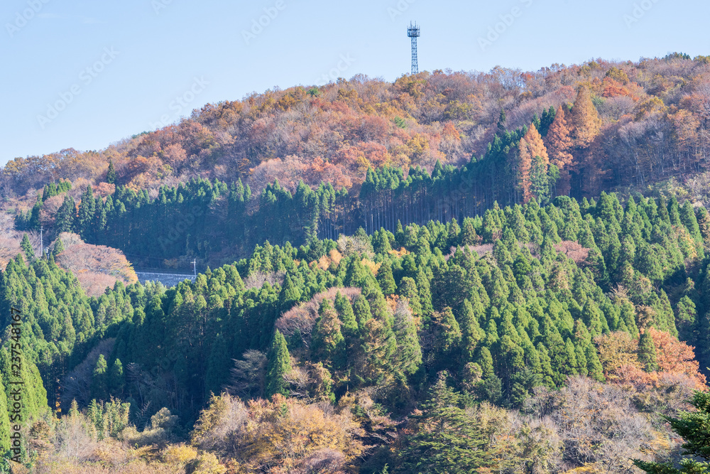 Kokonoe Yume悬索桥（大隅桥）周围的古居山（古居仁赞），最高的su